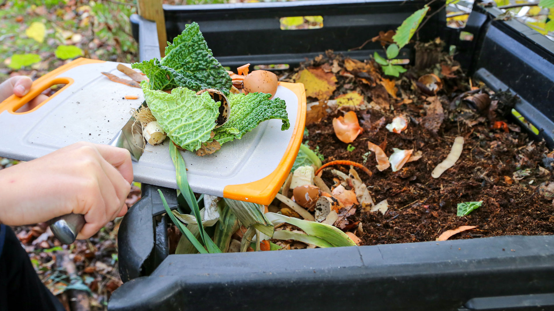 Composting-with-AVMRE